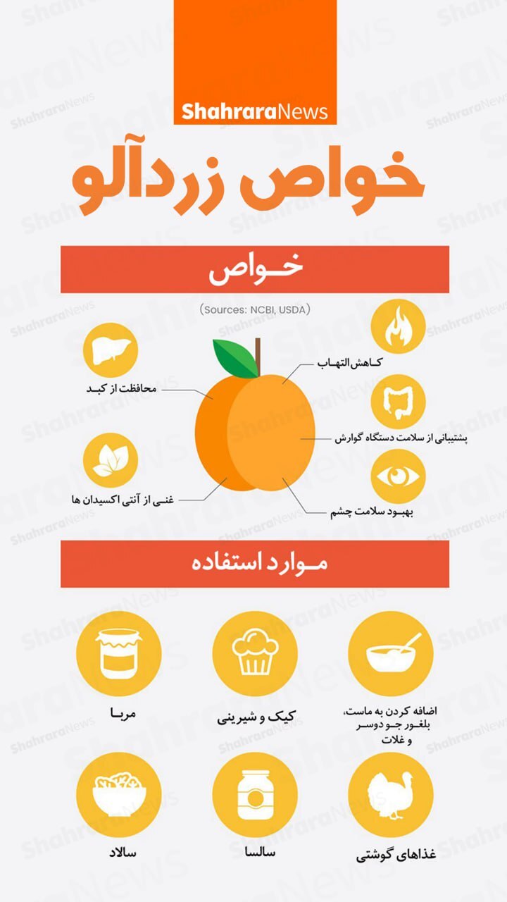 اینفوگرافی| خواص زردآلو