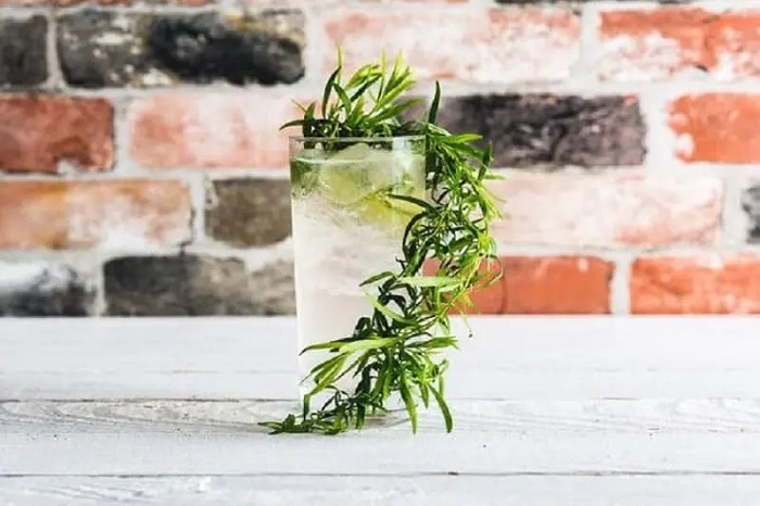 با ۱۰ شربت خوشمزه تابستانی آشنا شوید+ دستور تهیه با ۱۰ شربت خوشمزه تابستانی آشنا شوید+ دستور تهیه