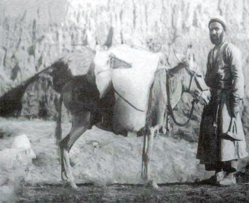 خنکای یک تاریخ ۶۳ ساله بر تن داغ شهر