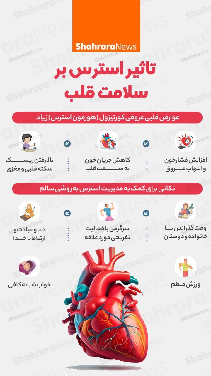 اینفوگرافی| تاثیر استرس بر سلامت قلب