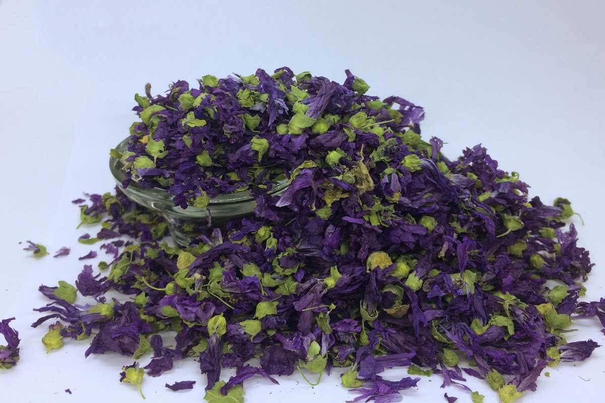 خواص گیاه پنیرک در طب سنتی خواص گیاه پنیرک در طب سنتی