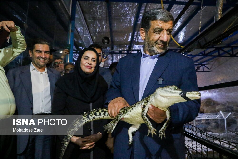 واکنش ضرغامی در مواجهه با یک کروکودیل در مشهد + فیلم و تصاویر