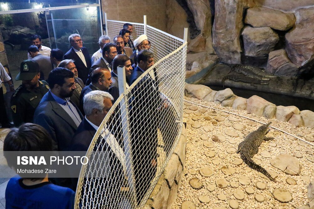 واکنش ضرغامی در مواجهه با یک کروکودیل در مشهد + فیلم و تصاویر