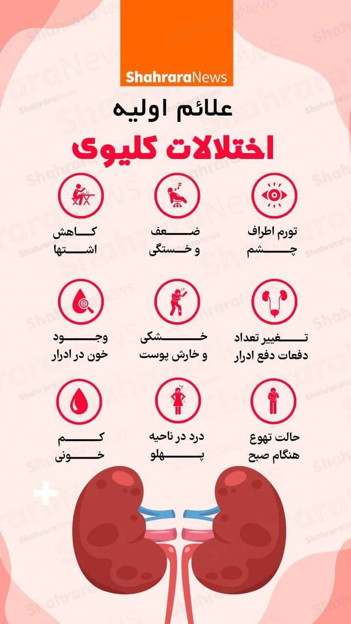 اینفوگرافی| علائم اولیه اختلالات کلیوی