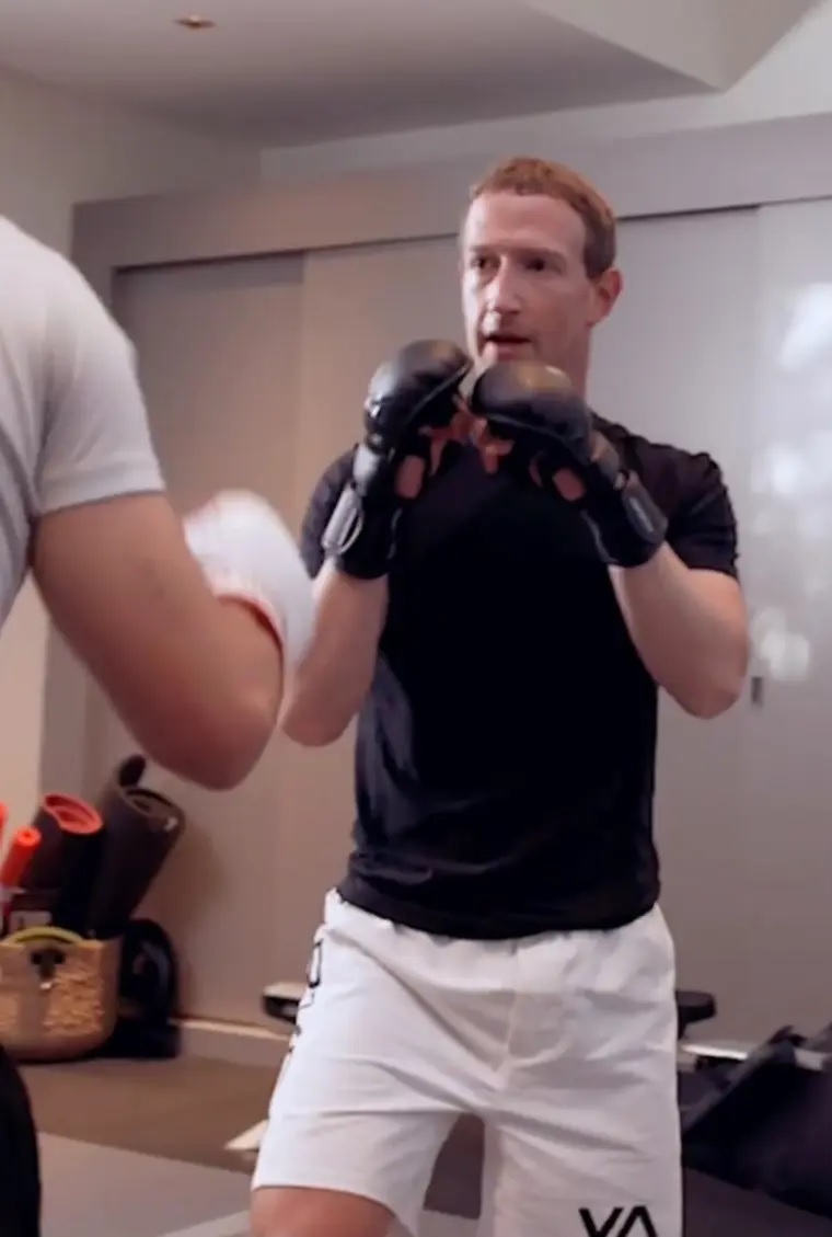 ایلان ماسک: مبارزهام با زاکربرگ در پلتفرم X به صورت زنده پخش میشود ایلان ماسک: مبارزهام با زاکربرگ در پلتفرم X به صورت زنده پخش میشود