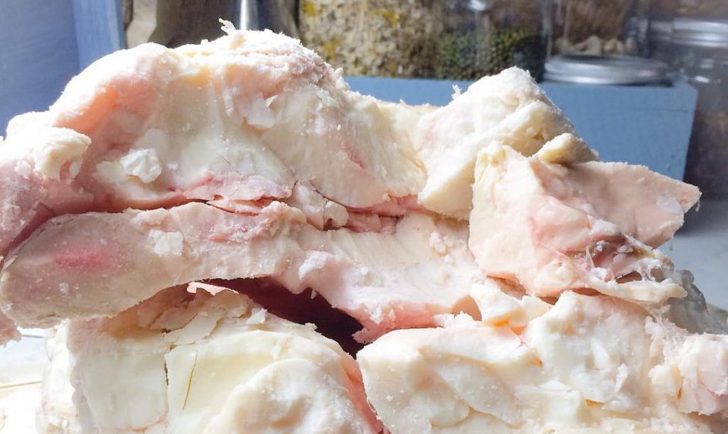 روغن شحم گاو و خواص بی نظیر آن روغن شحم گاو و خواص بی نظیر آن