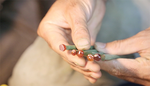 نگینی به نام خراسان نگینی به نام خراسان