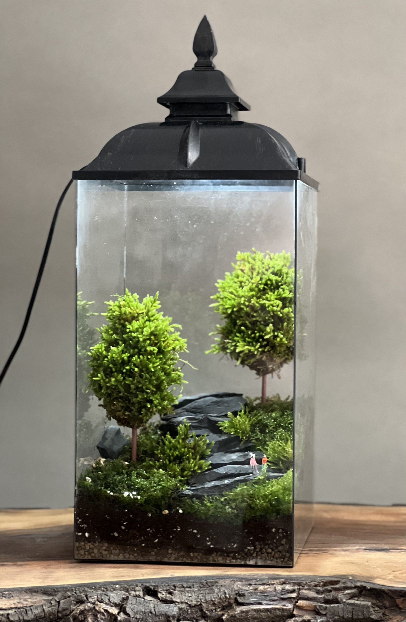 با تراریوم طبیعت را مهمان خانهی خود کنید + روش ساخت باغ شیشهای با تراریوم طبیعت را مهمان خانهی خود کنید + روش ساخت باغ شیشهای