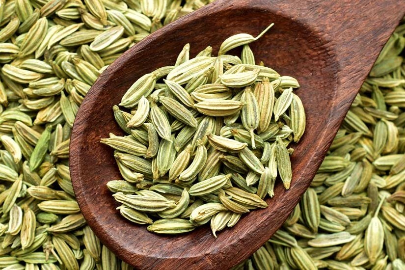 گیاهان دارویی؛ بهترین گزینه برای کشت در خراسان رضوی گیاهان دارویی؛ بهترین گزینه برای کشت در خراسان رضوی