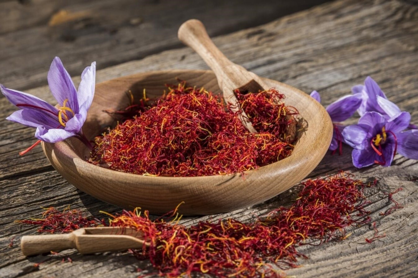 گیاهان دارویی؛ بهترین گزینه برای کشت در خراسان رضوی گیاهان دارویی؛ بهترین گزینه برای کشت در خراسان رضوی