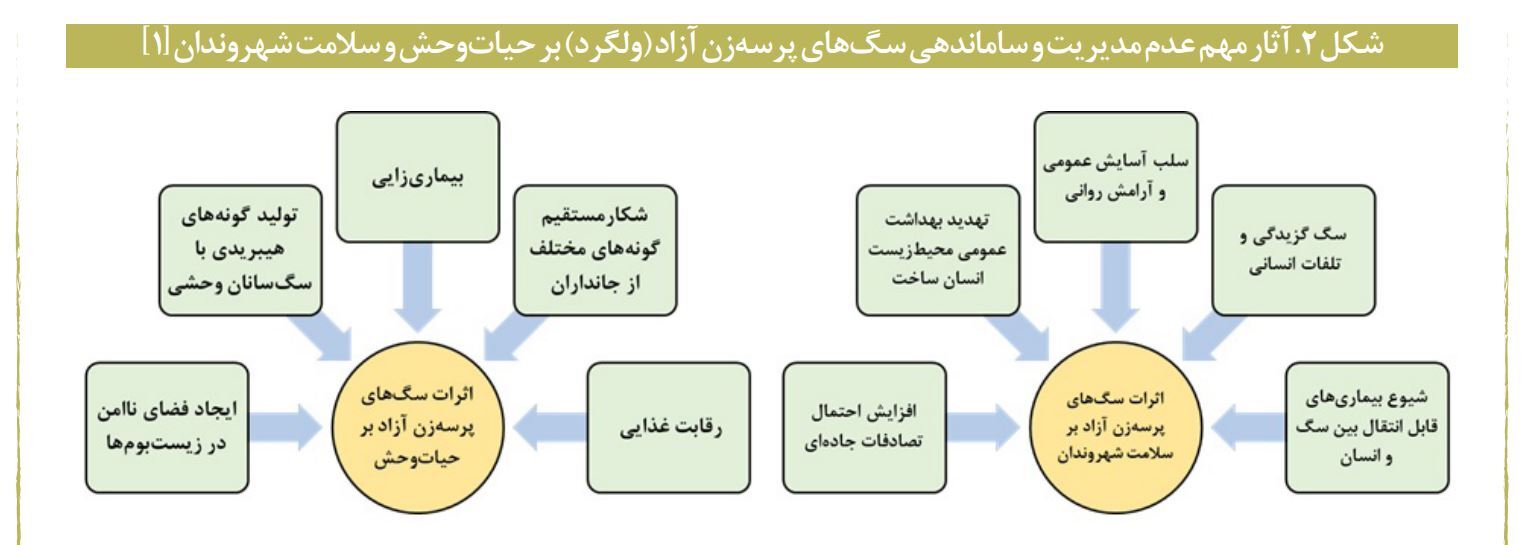 اعتبار ۹ میلیون یورویی برای واکسن هاری| چرا باید از رشد جمعیت سگ‌ها بترسیم؟