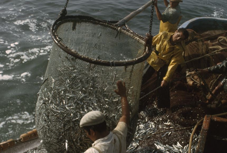 ال نینو چیست و چه خطرات و تأثیراتی در پی دارد؟ ال نینو چیست و چه خطرات و تأثیراتی در پی دارد؟