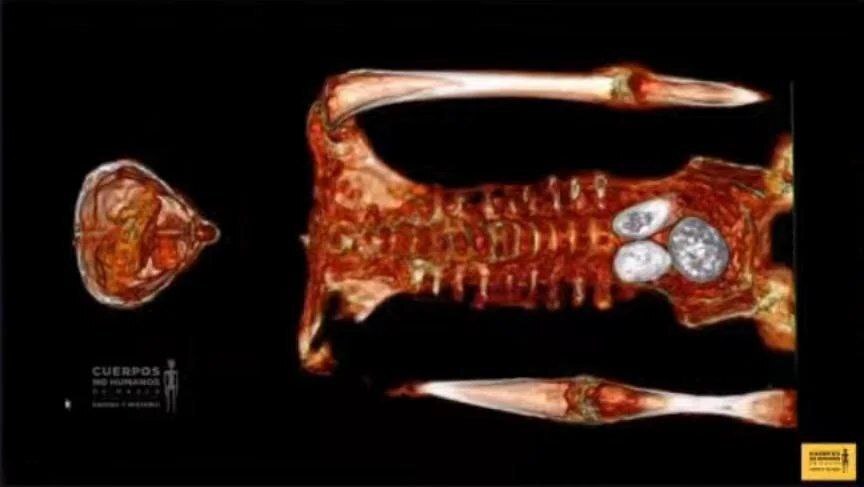 ماجرای پیداشدن موجودات فرازمینی در مکزیک + عکس و فیلم