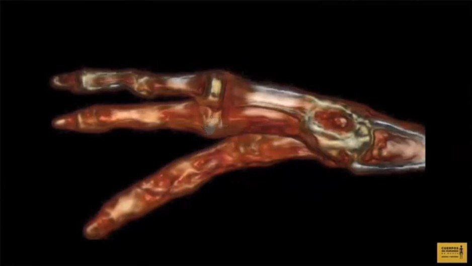 ماجرای پیداشدن موجودات فرازمینی در مکزیک + عکس و فیلم