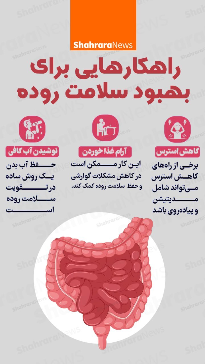 اینفوگرافی| راهکار‌هایی برای بهبود سلامت روده