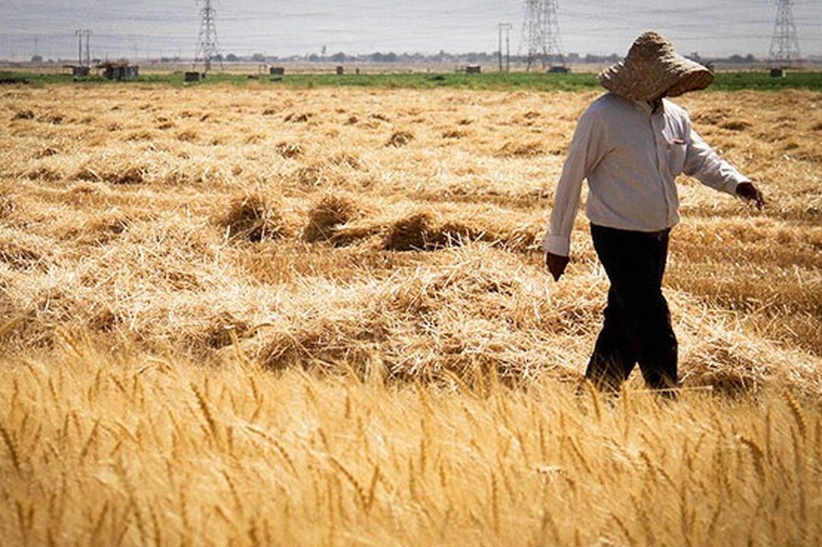 پرداخت مطالبات گندمکاران به کجا رسید؟