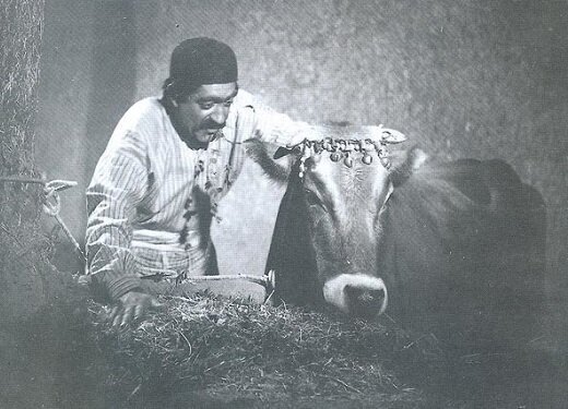 داریوش مهرجویی کیست؟ + بیوگرافی، فیلم ها و جوایز