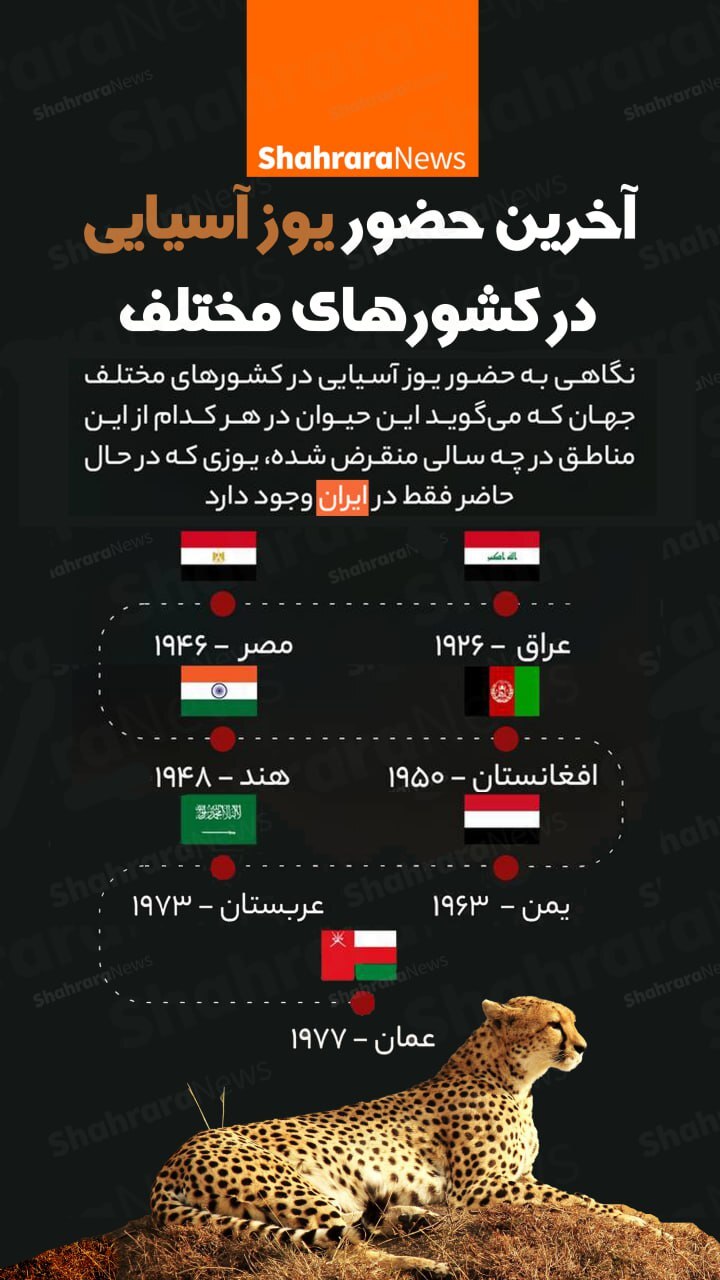 اینفوگرافی| آخرین حضور یوز آسیایی در کشور‌های مختلف