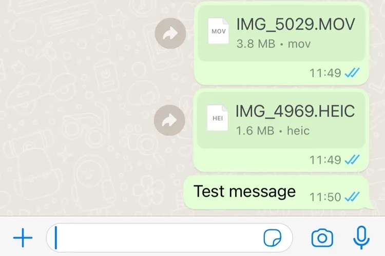 در واتساپ ارسال تصویر و ویدئو بهصورت فایل و بدون افت کیفیت ممکن شد در واتساپ ارسال تصویر و ویدئو بهصورت فایل و بدون افت کیفیت ممکن شد