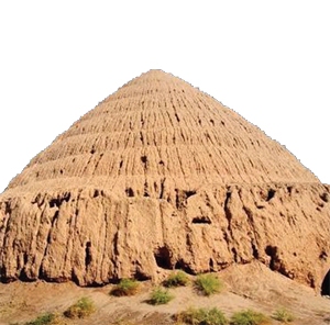 ردپای قیام مسجد گوهرشاد در تاریخ «مزرعه شقا» ردپای قیام مسجد گوهرشاد در تاریخ «مزرعه شقا»