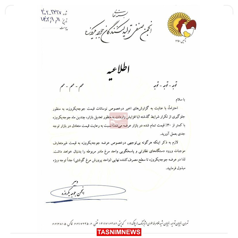 هشدار درباره گرانفروشی جوجه یکروزه هشدار درباره گرانفروشی جوجه یکروزه