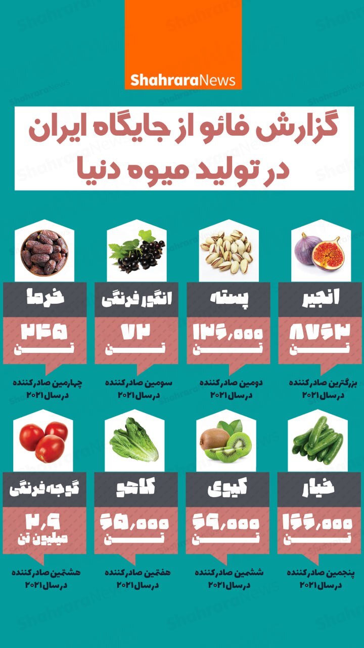 اینفوگرافی| گزارش فائو از جایگاه ایران در تولید میوه دنیا