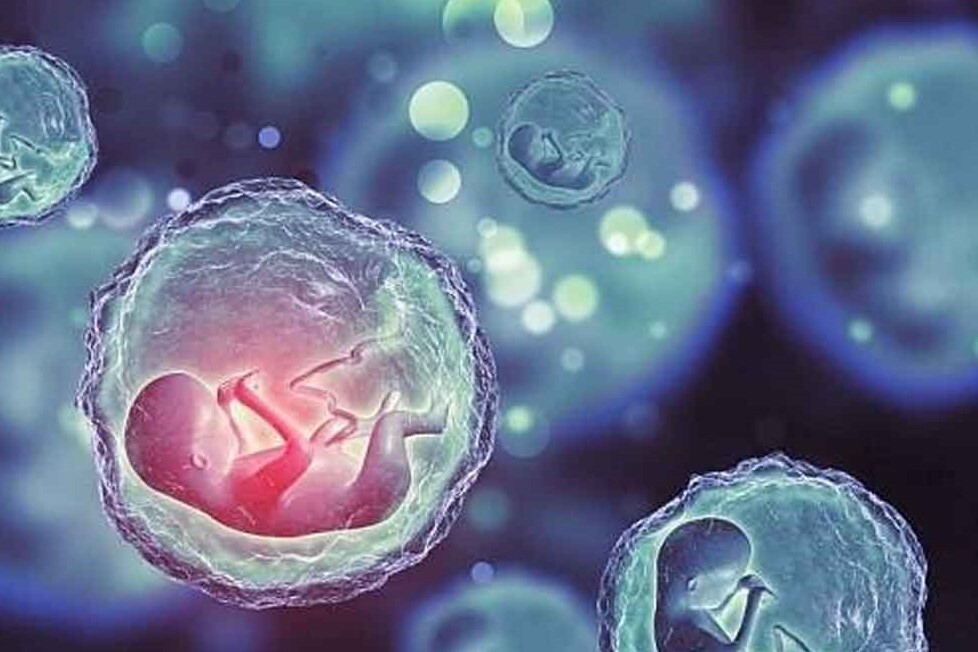 درمان ۸۰ بیماری صعب العلاج خونی با یک زباله دور نریختنی! درمان ۸۰ بیماری صعب العلاج خونی با یک زباله دور نریختنی!