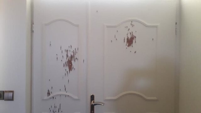 افراد ناشناس به منزل 2 مامور جنگلبانی تیراندازی کردند افراد ناشناس به منزل 2 مامور جنگلبانی تیراندازی کردند