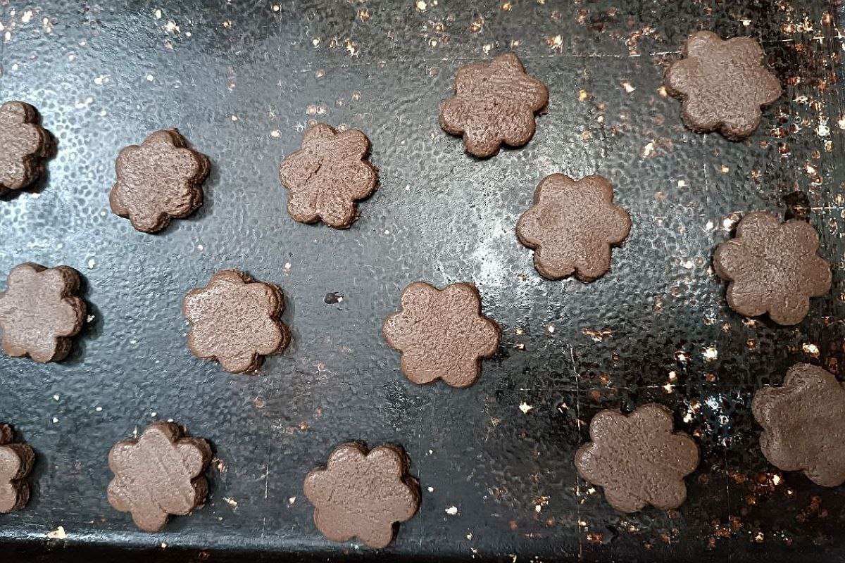 طرز تهیه شیرینی مدرن شکلاتی + عکس کاتر شیرینی مدرن