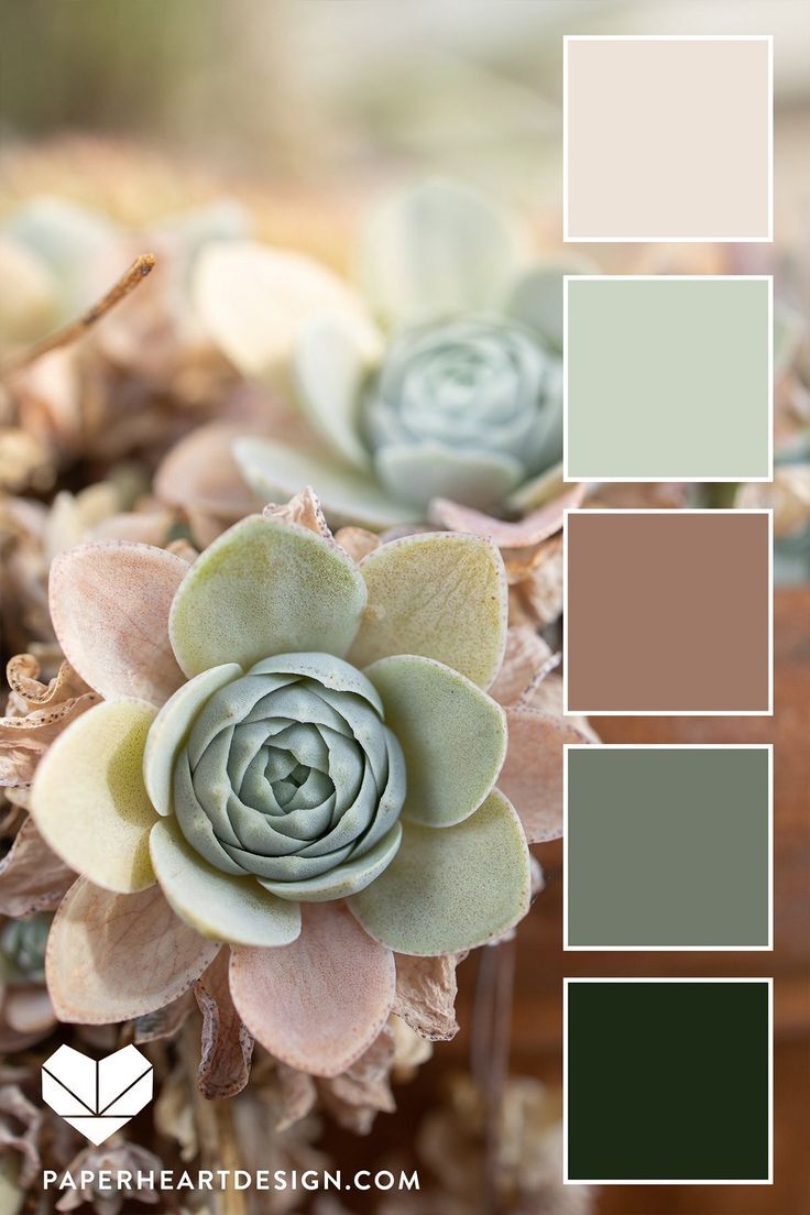 همه چیز راجع به سال نو ۱۴۰۴ + حیوان، رنگ، زمان تحویل سال و مناسبتها همه چیز راجع به سال نو ۱۴۰۴ + حیوان، رنگ، زمان تحویل سال و مناسبتها