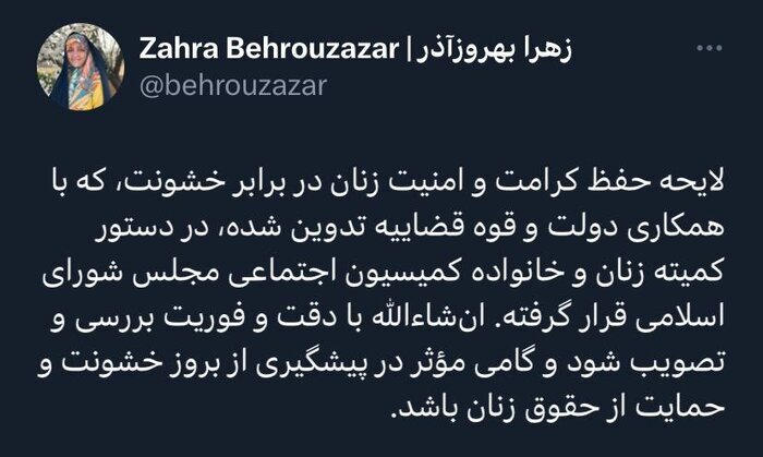 بررسی لایحه حفظ کرامت و امنیت زنان در برابر خشونت در کمیسیون اجتماعی مجلس بررسی لایحه حفظ کرامت و امنیت زنان در برابر خشونت در کمیسیون اجتماعی مجلس