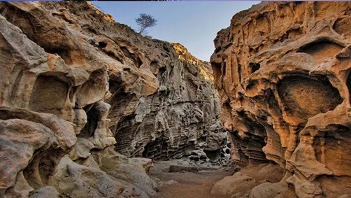 ماجراجویی تنهایی در جنوب ایران؛ از جزیره کیش تا قشم ماجراجویی تنهایی در جنوب ایران؛ از جزیره کیش تا قشم