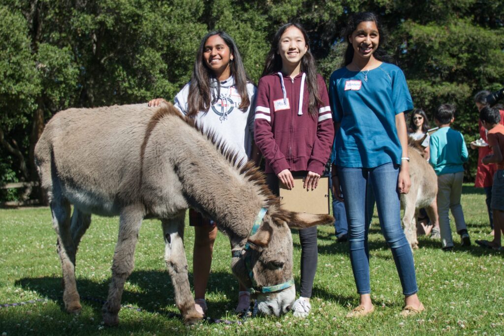 خر شرک به خواب ابدی رفت + عکس