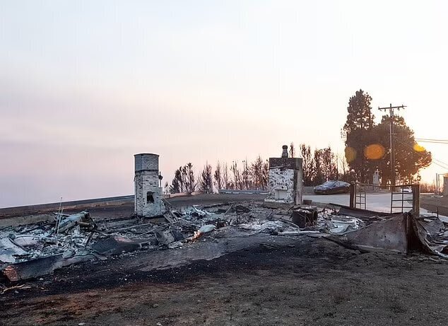 آتشسوزی کالیفرنیا، دامن پسر بایدن را هم گرفت! آتشسوزی کالیفرنیا، دامن پسر بایدن را هم گرفت!