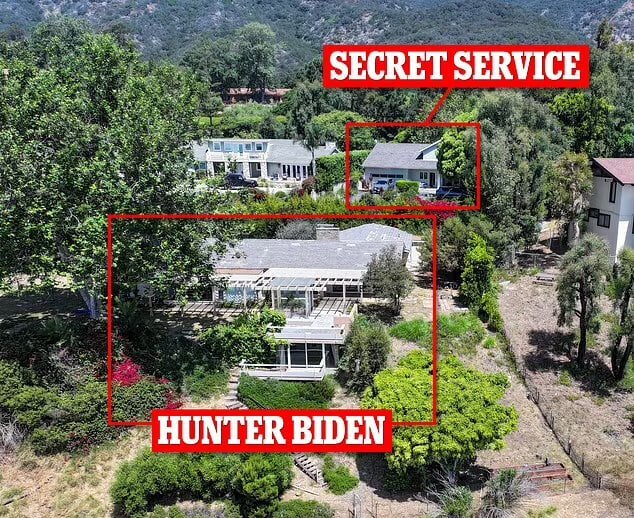 آتشسوزی کالیفرنیا، دامن پسر بایدن را هم گرفت! آتشسوزی کالیفرنیا، دامن پسر بایدن را هم گرفت!