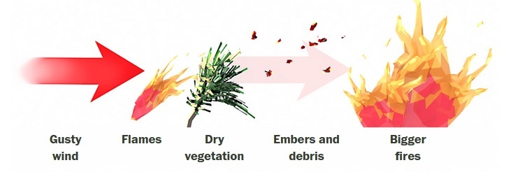 علت آتشسوزیهای وحشتناک لس آنجلس و کالیفرنیا چیست؟ علت آتشسوزیهای وحشتناک لس آنجلس و کالیفرنیا چیست؟
