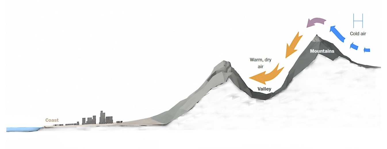 علت آتشسوزیهای وحشتناک لس آنجلس و کالیفرنیا چیست؟ علت آتشسوزیهای وحشتناک لس آنجلس و کالیفرنیا چیست؟