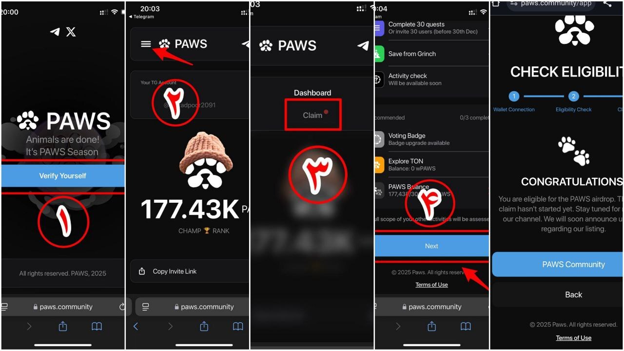 کاربران واجد شرایط دریافت توکن پاوز مشخص شدند + آموزش