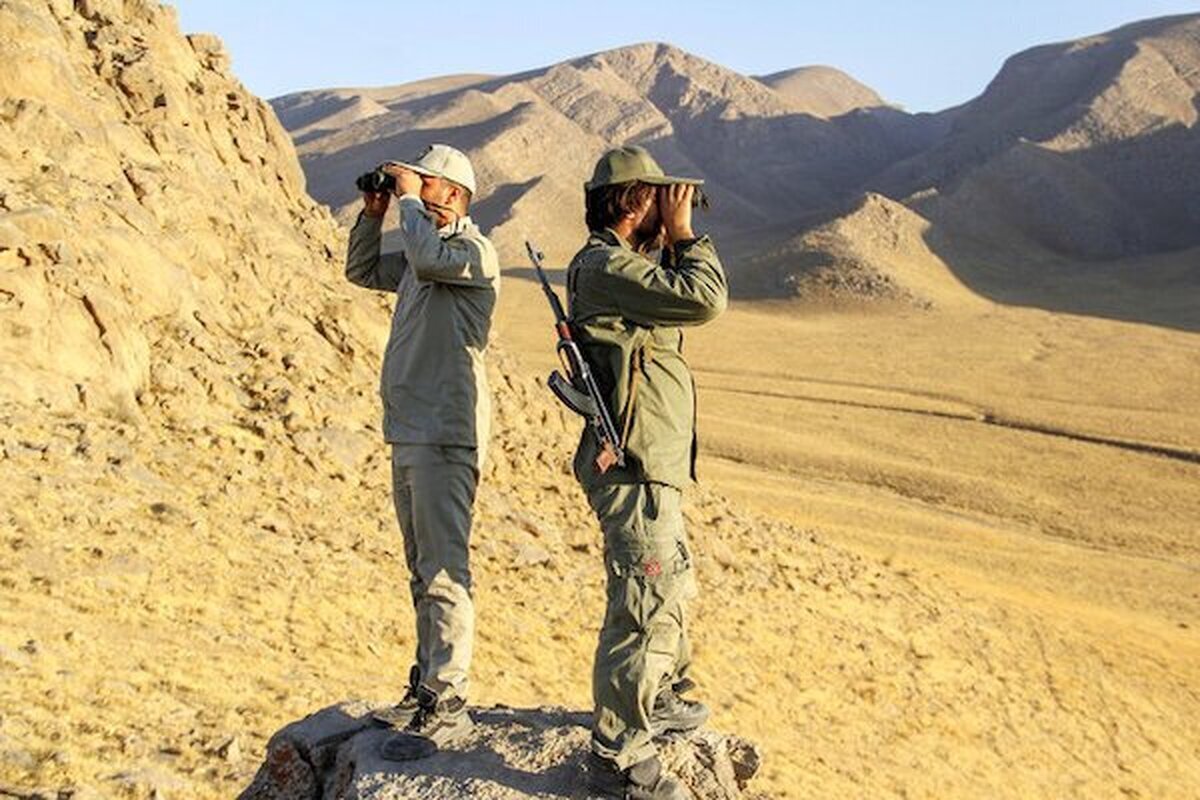 وعده رئیس سازمان محیط زیست برای اصلاح قانون حمل سلاح محیط‌بانان