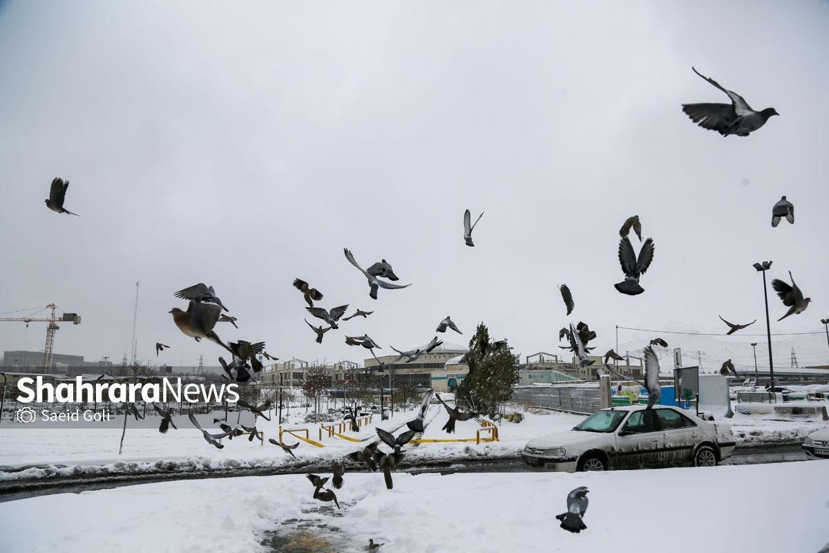 صدور هشدار هواشناسی درخصوص تشدید بارش برف در خراسان رضوی و ۱۶ استان دیگر (۳۰ دی ۱۴۰۳)