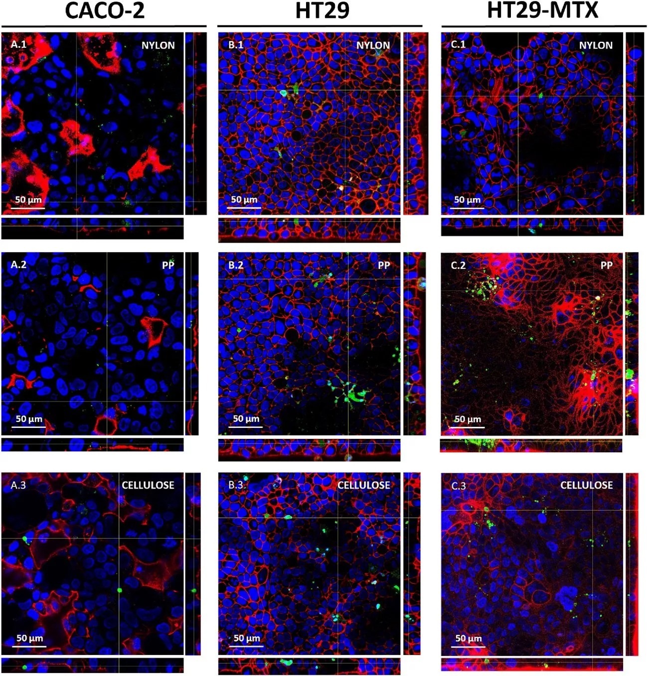 هشدار محققان به کسانی که چای کیسهای استفاده میکنند هشدار محققان به کسانی که چای کیسهای استفاده میکنند