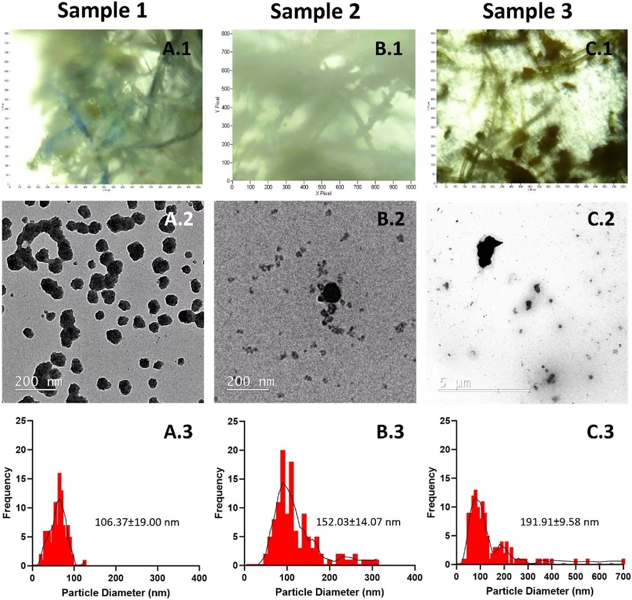 هشدار محققان به کسانی که چای کیسهای استفاده میکنند هشدار محققان به کسانی که چای کیسهای استفاده میکنند