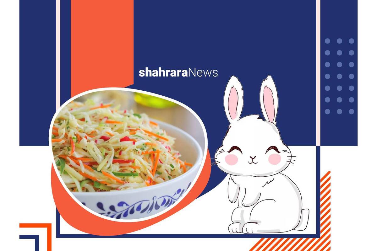 آن روز خاله‌خرگوشه، گوش‌پنبه‌ای را برای ناهار دعوت کرده بود. گوش‌پنبه‌ای با خودش فکر کرد بهتر است یک هدیه هم برای خاله‌اش ببرد.