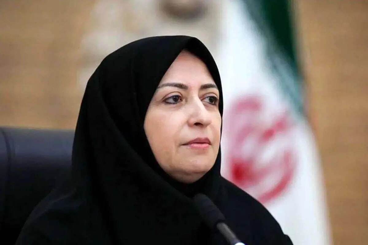 معاون رئیس‌جمهور و رئیس سازمان حفاظت از محیط زیست گفت: در بخش‌های مختلف حوزه محیط زیست دچار چالش و بحران‌های هستیم اما واقعیت این است که نباید دچار «فرونشست امید» شویم و اجازه دهیم یأس و ناامیدی بر ما مستولی شود.