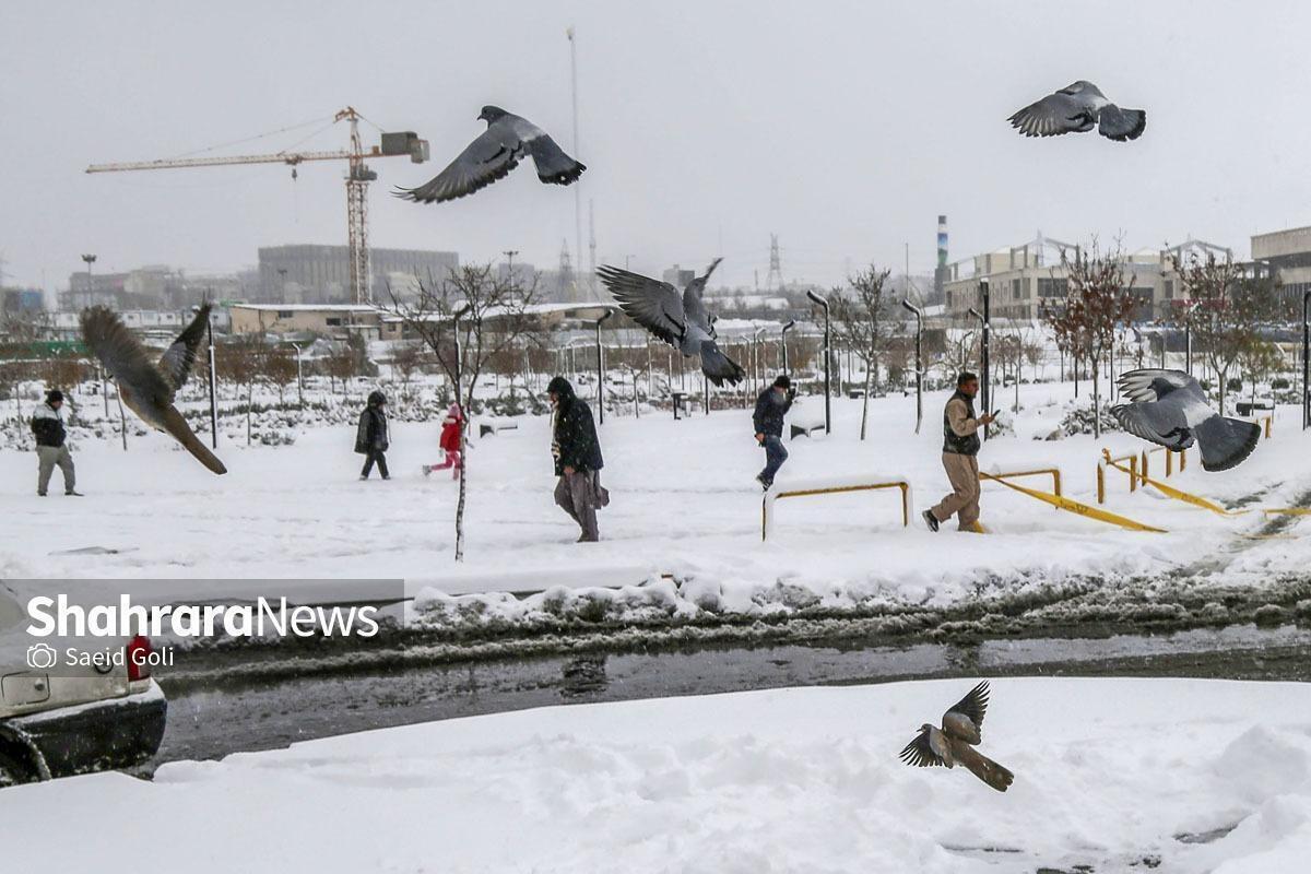 پیش‌بینی بارش برف و باران در اغلب مناطق کشور (۱۹ بهمن ۱۴۰۳)