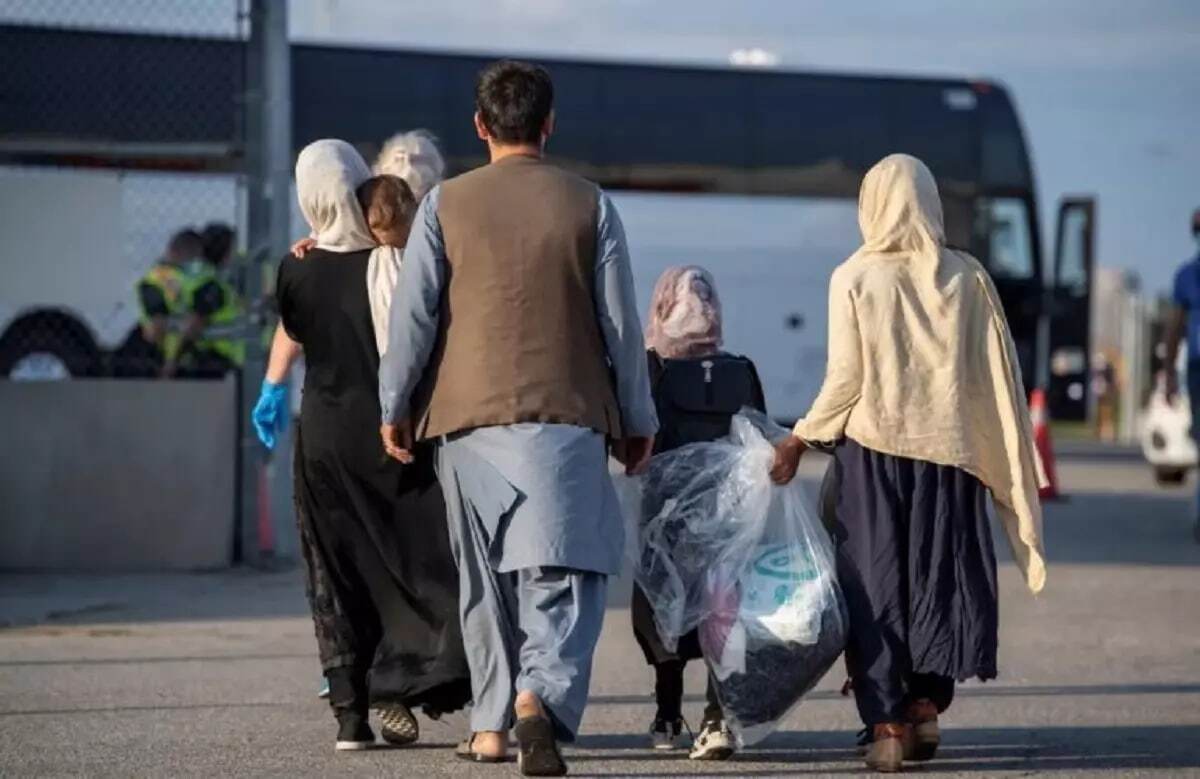 بازگرداندن بیش از نیم میلیون تبعه غیرمجاز افغانستانی از مرز دوغارون طی ۱۰ماهه نخست ۱۴۰۳