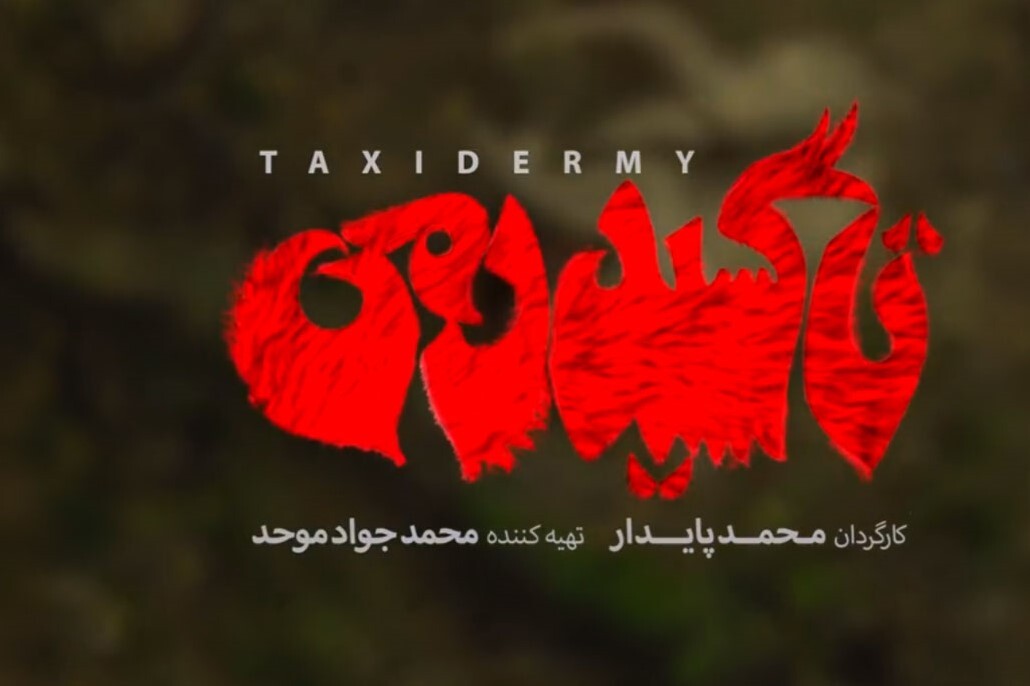 همه چیز درباره فیلم سینمایی تاکسیدرمی اثر محمد پایدار + بازیگران، خلاصه داستان و عکس || خانم قاسمی همه چیز درباره فیلم سینمایی تاکسیدرمی اثر محمد پایدار + بازیگران، خلاصه داستان و عکس || خانم قاسمی