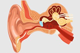سکته گوش در هر سنی، هر کسی را می تواند درگیر «ناشنوایی ناگهانی» کند | اعتصاب بی صدای گوش