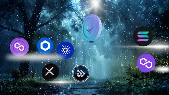 مقایسه بلاک چینهای مختلف: اتریوم، بیت کوین و پروژههای نوظهور مقایسه بلاک چینهای مختلف: اتریوم، بیت کوین و پروژههای نوظهور