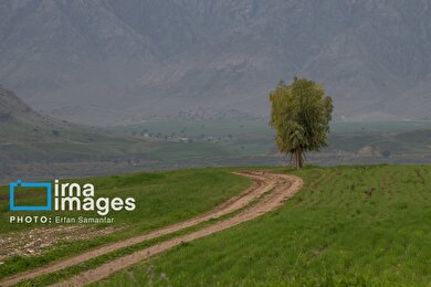 ایران زیباست | جاذبه‌های گردشگری ایذه